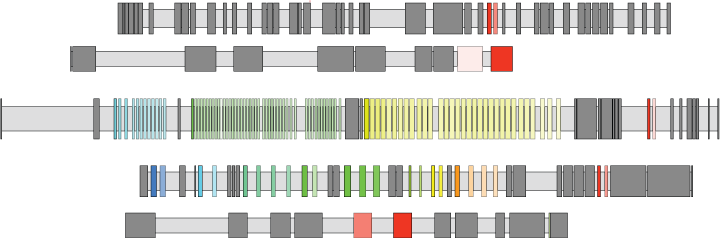 Examples of mutually exclusively spliced genes